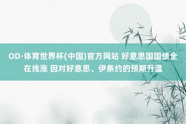 OD·体育世界杯(中国)官方网站 好意思国国债全在线涨 因对好意思、伊条约的预期升温