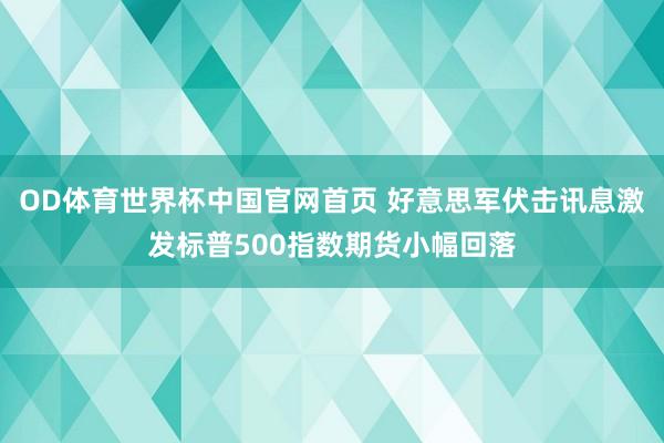 OD体育世界杯中国官网首页 好意思军伏击讯息激发标普500指数期货小幅回落