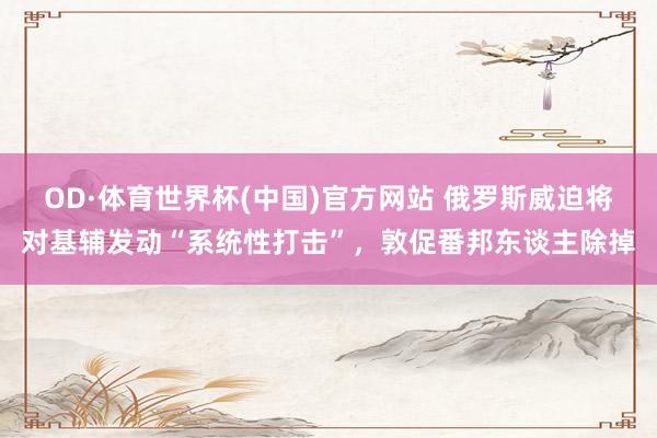 OD·体育世界杯(中国)官方网站 俄罗斯威迫将对基辅发动“系统性打击”，敦促番邦东谈主除掉