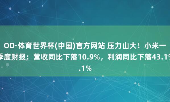 OD·体育世界杯(中国)官方网站 压力山大！小米一季度财报：营收同比下落10.9%，利润同比下落43.1%
