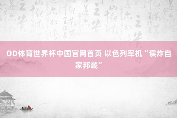 OD体育世界杯中国官网首页 以色列军机“误炸自家邦畿”