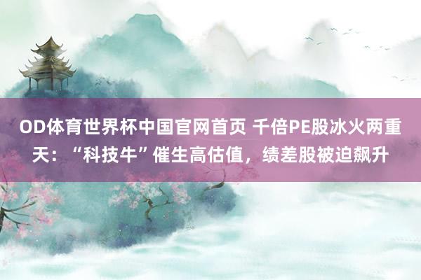 OD体育世界杯中国官网首页 千倍PE股冰火两重天：“科技牛”催生高估值，绩差股被迫飙升