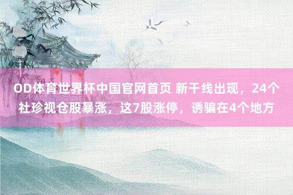 OD体育世界杯中国官网首页 新干线出现，24个社珍视仓股暴涨，这7股涨停，诱骗在4个地方