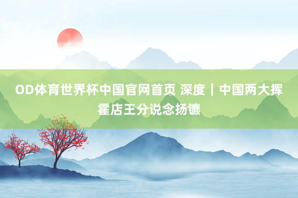 OD体育世界杯中国官网首页 深度｜中国两大挥霍店王分说念扬镳