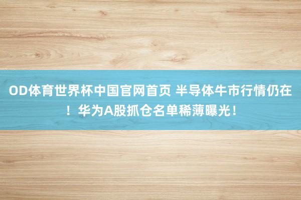OD体育世界杯中国官网首页 半导体牛市行情仍在！华为A股抓仓名单稀薄曝光！