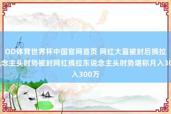 OD体育世界杯中国官网首页 网红大蓝被封后搞拉东说念主头时势