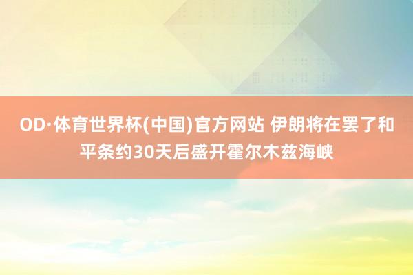 OD·体育世界杯(中国)官方网站 伊朗将在罢了和平条约30天后盛开霍尔木兹海峡