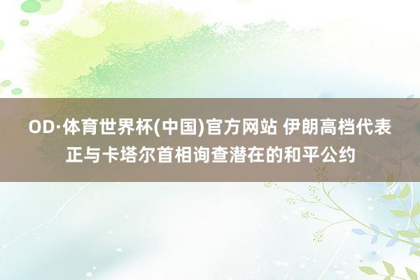 OD·体育世界杯(中国)官方网站 伊朗高档代表正与卡塔尔首相询查潜在的和平公约