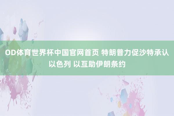 OD体育世界杯中国官网首页 特朗普力促沙特承认以色列 以互助伊朗条约