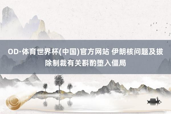 OD·体育世界杯(中国)官方网站 伊朗核问题及拔除制裁有关斟酌堕入僵局