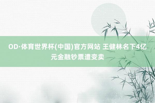 OD·体育世界杯(中国)官方网站 王健林名下4亿元金融钞票遭变卖
