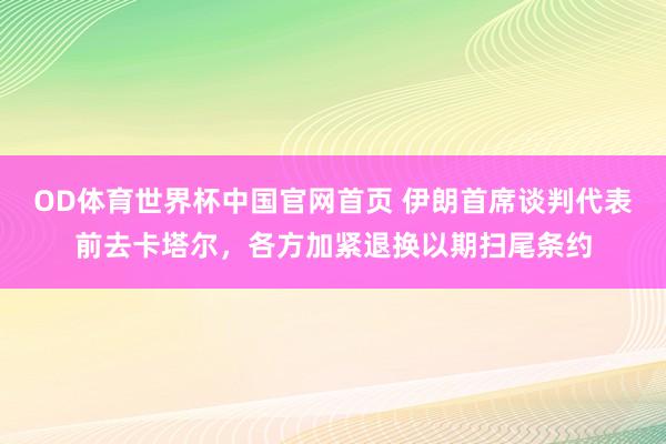 OD体育世界杯中国官网首页 伊朗首席谈判代表前去卡塔尔，各方加紧退换以期扫尾条约