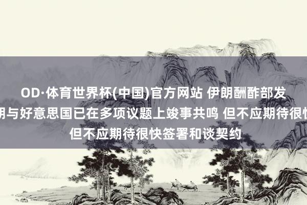 OD·体育世界杯(中国)官方网站 伊朗酬酢部发言东谈主：伊朗与好意思国已在多项议题上竣事共鸣 但不应期待很快签署和谈契约