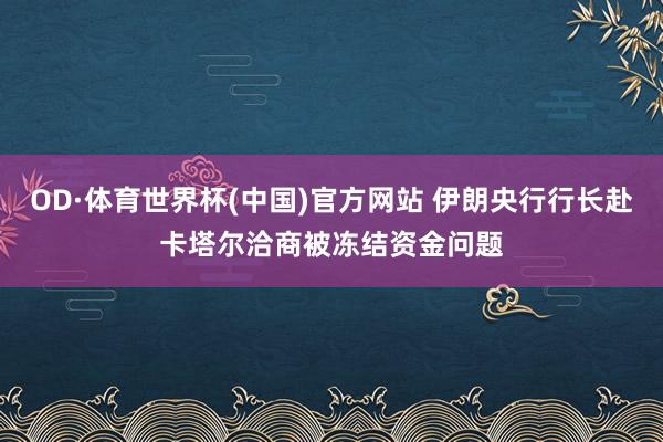 OD·体育世界杯(中国)官方网站 伊朗央行行长赴卡塔尔洽商被冻结资金问题