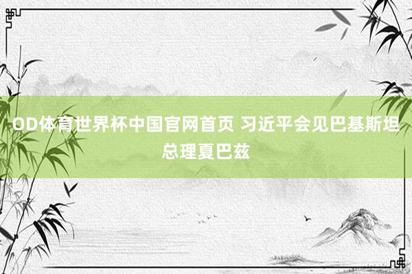OD体育世界杯中国官网首页 习近平会见巴基斯坦总理夏巴兹
