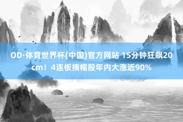 OD·体育世界杯(中国)官方网站 15分钟狂飙20cm！4连板摘帽股年内大涨近90%