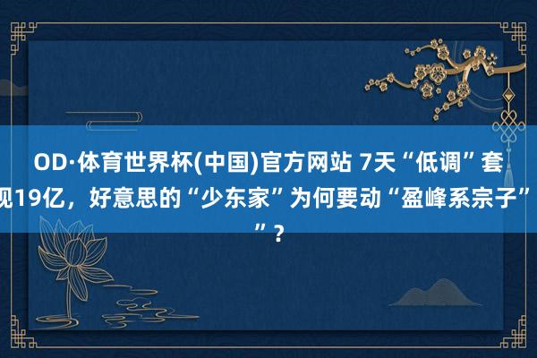 OD·体育世界杯(中国)官方网站 7天“低调”套现19亿，好意思的“少东家”为何要动“盈峰系宗子”？