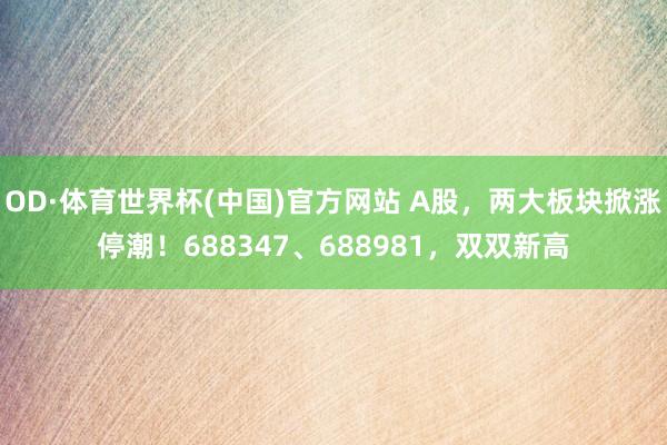 OD·体育世界杯(中国)官方网站 A股，两大板块掀涨停潮！688347、688981，双双新高