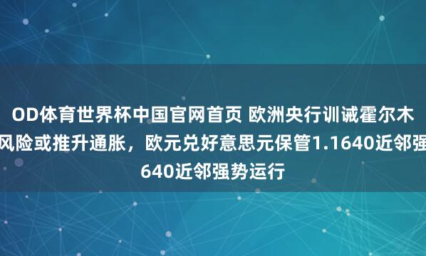 OD体育世界杯中国官网首页 欧洲央行训诫霍尔木兹海峡风险或推升通胀，欧元兑好意思元保管1.1640近邻强势运行
