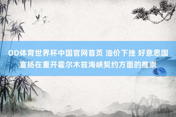 OD体育世界杯中国官网首页 油价下挫 好意思国宣扬在重开霍尔木兹海峡契约方面的推崇
