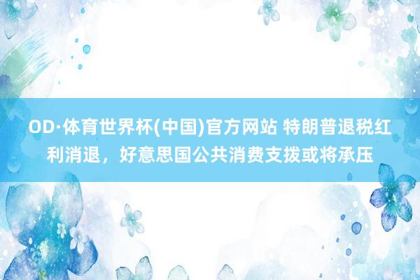OD·体育世界杯(中国)官方网站 特朗普退税红利消退，好意思国公共消费支拨或将承压