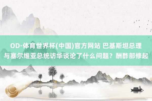 OD·体育世界杯(中国)官方网站 巴基斯坦总理与塞尔维亚总统访华谈论了什么问题？酬酢部修起