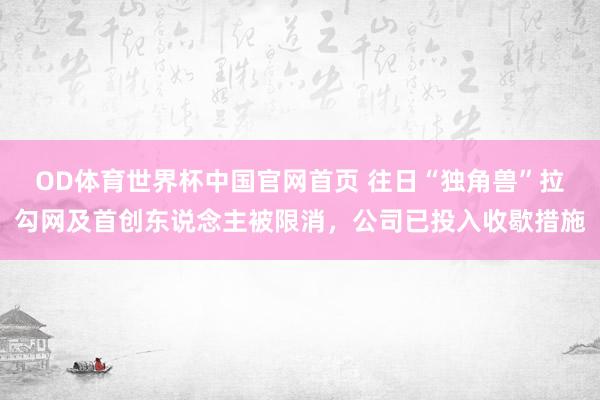 OD体育世界杯中国官网首页 往日“独角兽”拉勾网及首创东说念主被限消，公司已投入收歇措施