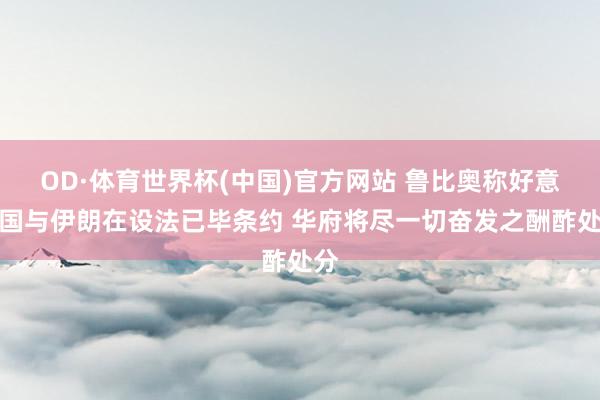 OD·体育世界杯(中国)官方网站 鲁比奥称好意思国与伊朗在设法已毕条约 华府将尽一切奋发之酬酢处分