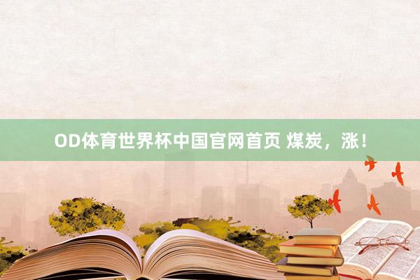 OD体育世界杯中国官网首页 煤炭，涨！