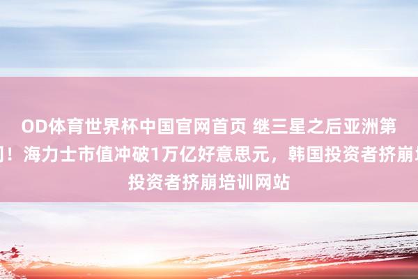 OD体育世界杯中国官网首页 继三星之后亚洲第三家公司！海力士市值冲破1万亿好意思元，韩国投资者挤崩培训网站