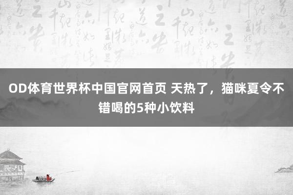 OD体育世界杯中国官网首页 天热了，猫咪夏令不错喝的5种小饮料