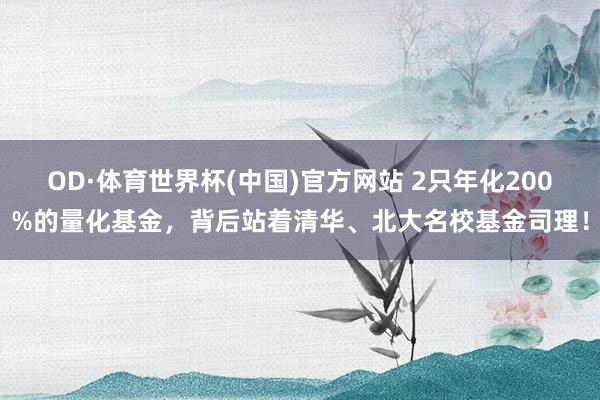 OD·体育世界杯(中国)官方网站 2只年化200%的量化基金，背后站着清华、北大名校基金司理！