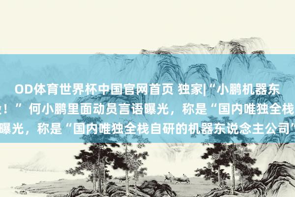 OD体育世界杯中国官网首页 独家|“小鹏机器东说念主进入量产冲刺阶段！” 何小鹏里面动员言语曝光，称是“国内唯独全栈自研的机器东说念主公司”