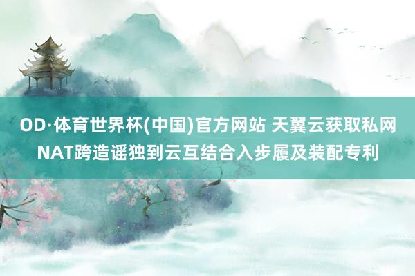 OD·体育世界杯(中国)官方网站 天翼云获取私网NAT跨造谣独到云互结合入步履及装配专利