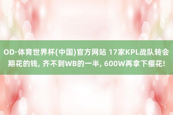 OD·体育世界杯(中国)官方网站 17家KPL战队转会期花的钱, 齐不到WB的一半, 600W再拿下樱花!