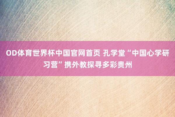OD体育世界杯中国官网首页 孔学堂“中国心学研习营”携外教探