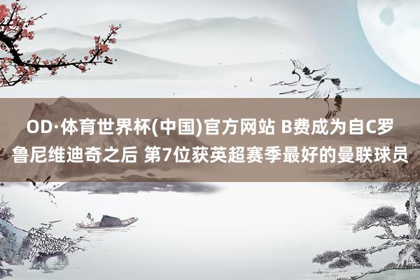 OD·体育世界杯(中国)官方网站 B费成为自C罗鲁尼维迪奇之后 第7位获英超赛季最好的曼联球员