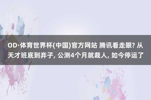 OD·体育世界杯(中国)官方网站 腾讯看走眼? 从天才班底到弃子， 公测4个月就裁人， 如今停运了