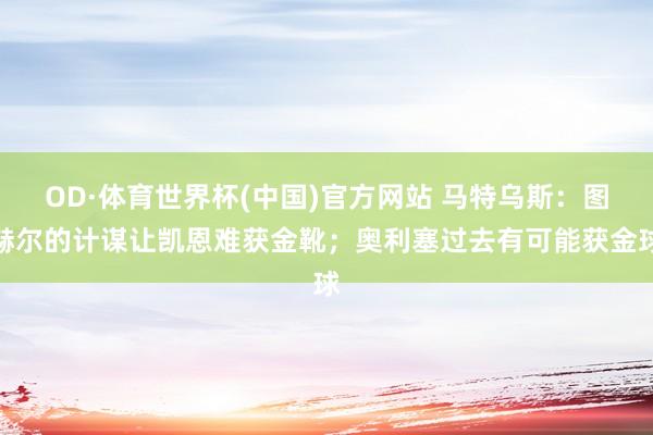 OD·体育世界杯(中国)官方网站 马特乌斯：图赫尔的计谋让凯恩难获金靴；奥利塞过去有可能获金球