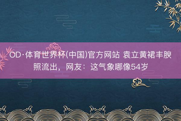 OD·体育世界杯(中国)官方网站 袁立黄裙丰腴照流出,网友:这气象哪像54岁