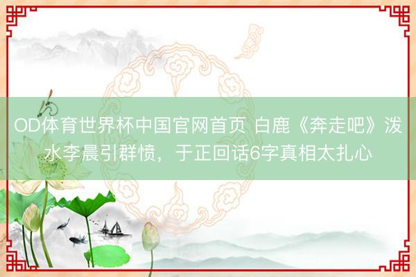 OD体育世界杯中国官网首页 白鹿《奔走吧》泼水李晨引群愤，于正回话6字真相太扎心