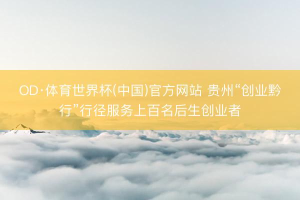OD·体育世界杯(中国)官方网站 贵州“创业黔行”行径服务上百名后生创业者