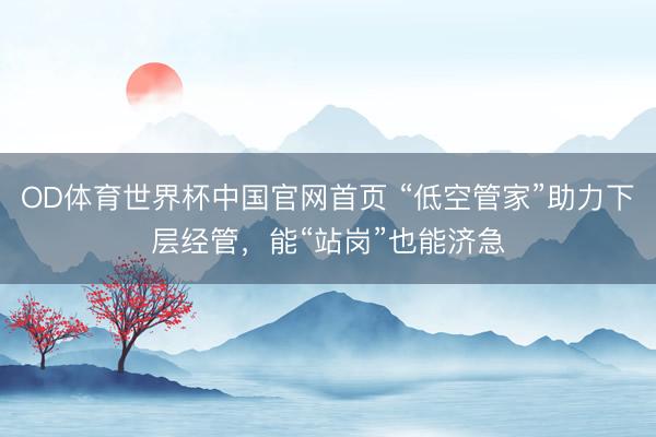 OD体育世界杯中国官网首页 “低空管家”助力下层经管，能“站岗”也能济急