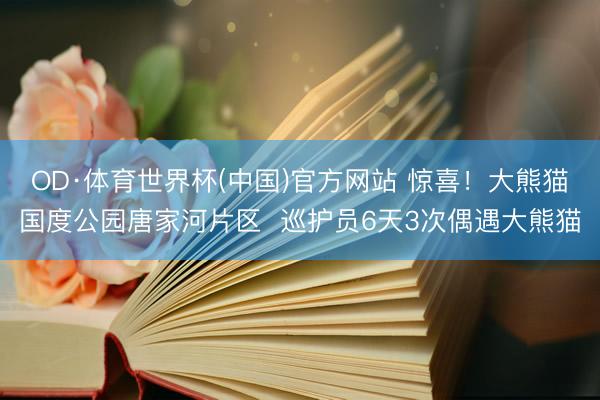 OD·体育世界杯(中国)官方网站 惊喜！大熊猫国度公园唐家河片区  巡护员6天3次偶遇大熊猫