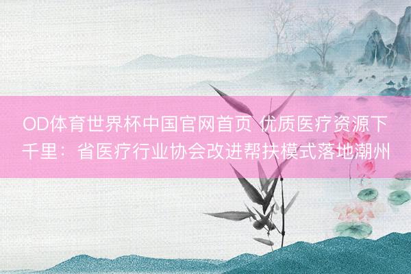 OD体育世界杯中国官网首页 优质医疗资源下千里：省医疗行业协会改进帮扶模式落地潮州