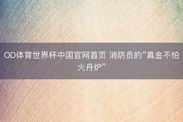OD体育世界杯中国官网首页 消防员的“真金不怕火丹炉”