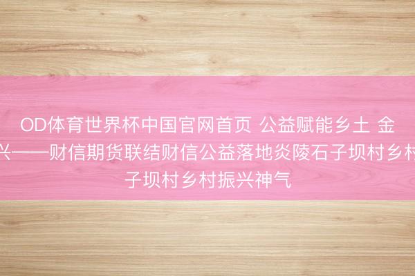 OD体育世界杯中国官网首页 公益赋能乡土 金融助力振兴——财信期货联结财信公益落地炎陵石子坝村乡村振兴神气