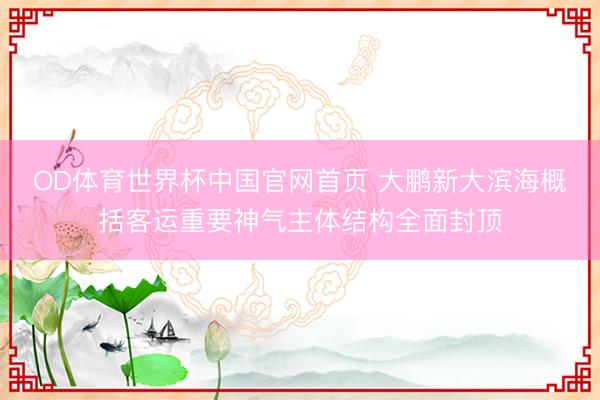 OD体育世界杯中国官网首页 大鹏新大滨海概括客运重要神气主体结构全面封顶