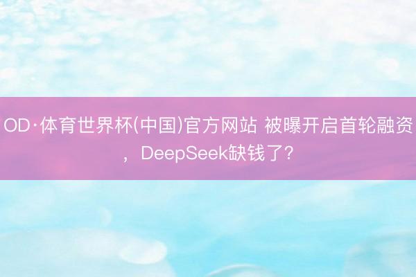 OD·体育世界杯(中国)官方网站 被曝开启首轮融资,DeepSeek缺钱了?