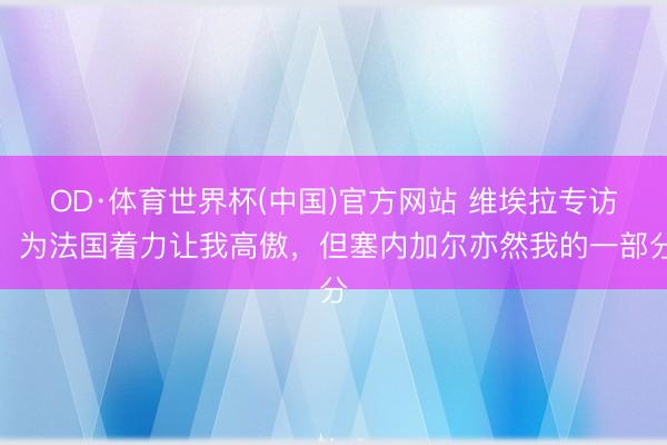 OD·体育世界杯(中国)官方网站 维埃拉专访：为法国着力让我高傲，但塞内加尔亦然我的一部分